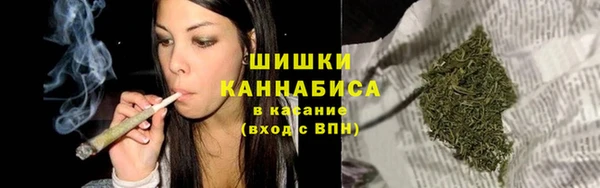 сатива Балахна