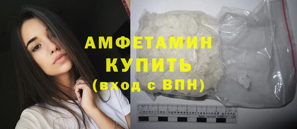 сатива Балахна
