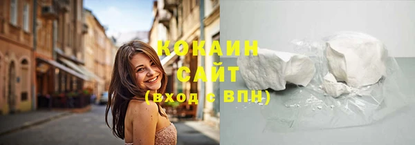 сатива Балахна