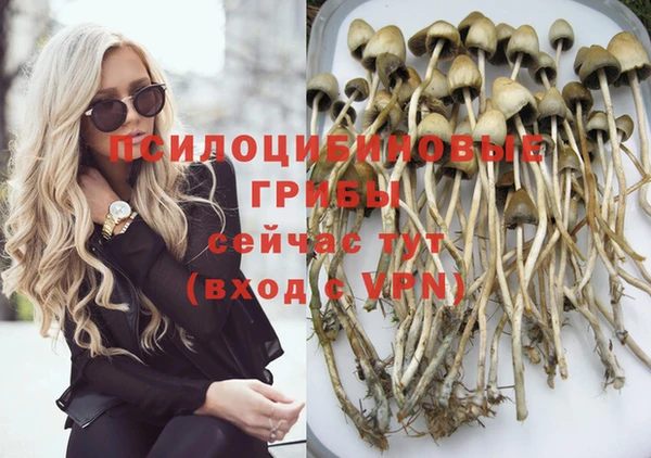 тгк Баксан