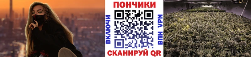 наркошоп  Красноперекопск  Марихуана MAZAR 